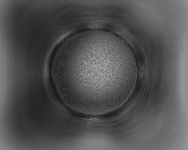 X0000093100727200710031829