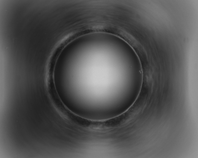 X0000093100728200710031829