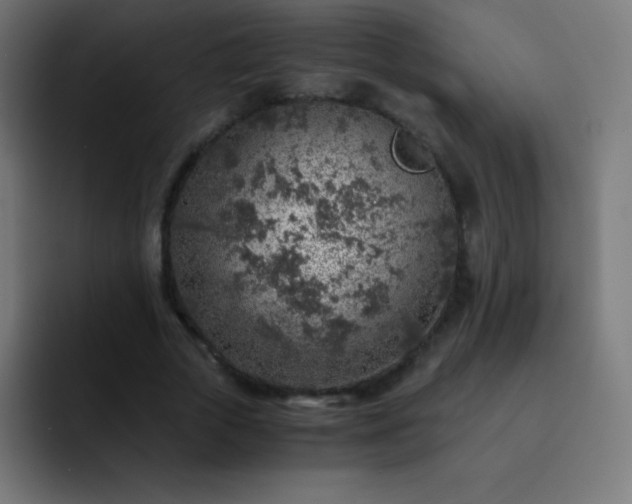 X0000093100729200710031829