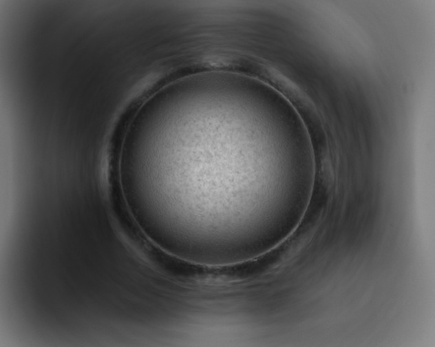 X0000093100730200710031829