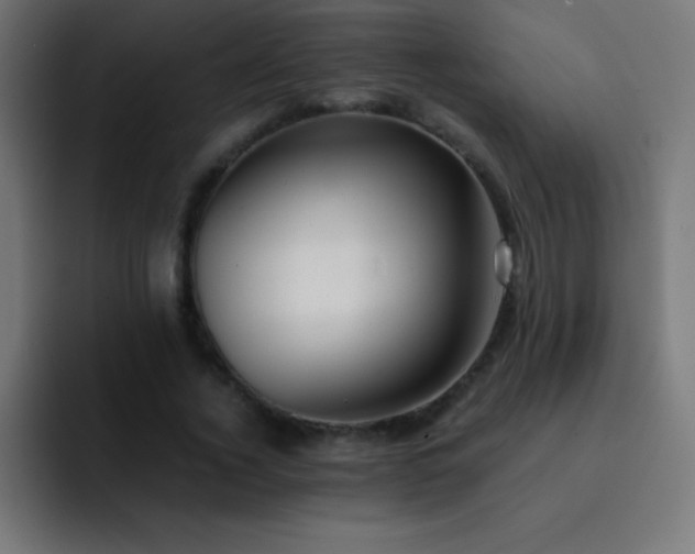 X0000093100732200710031829
