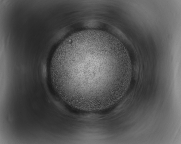 X0000093100734200710031829