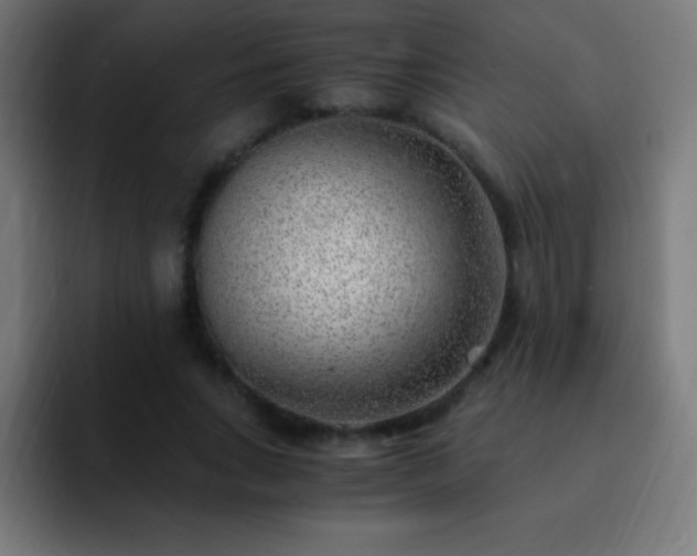 X0000093100735200710031829