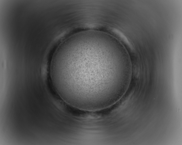 X0000093100736200710031829