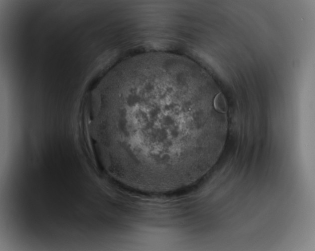 X0000093100738200710031829