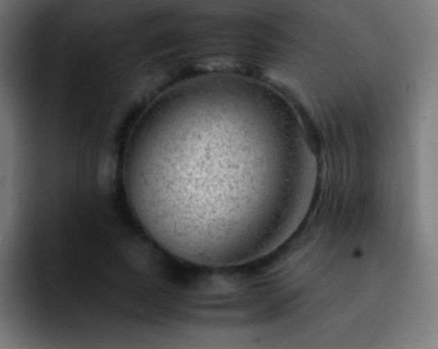 X0000093100739200710031829