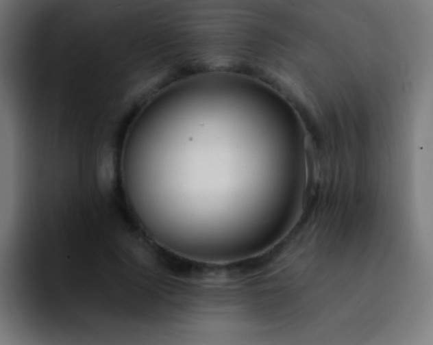 X0000093100740200710031829