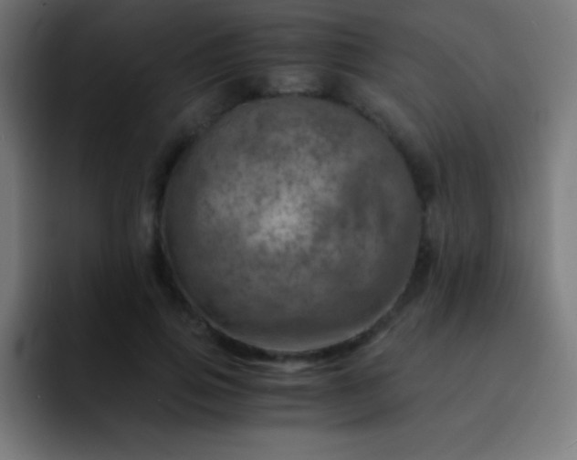 X0000093100741200710031829