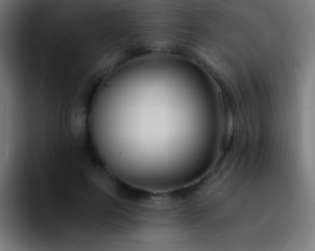 X0000093100744200710031829