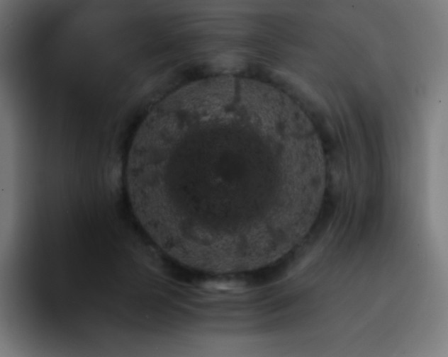 X0000093100745200710031829