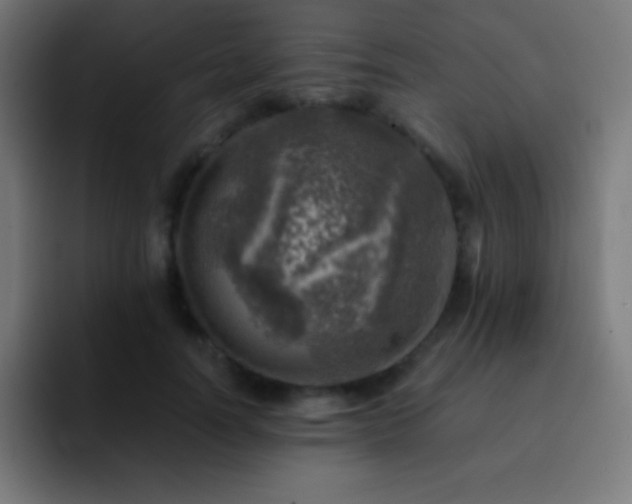 X0000093100746200710031829