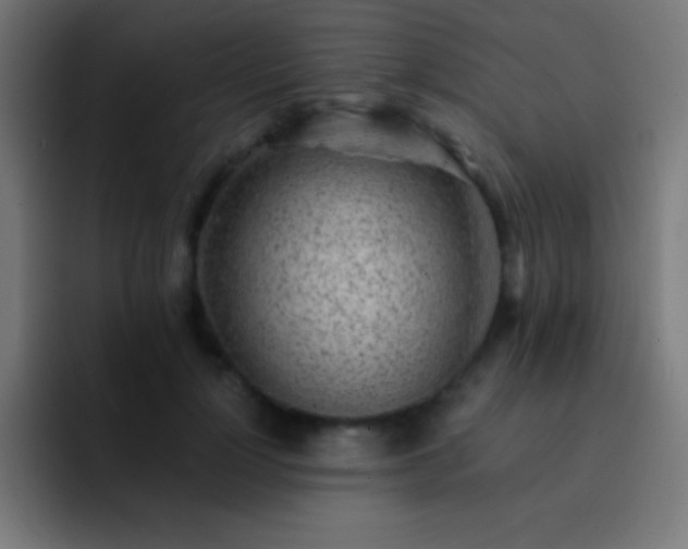 X0000093100748200710031829