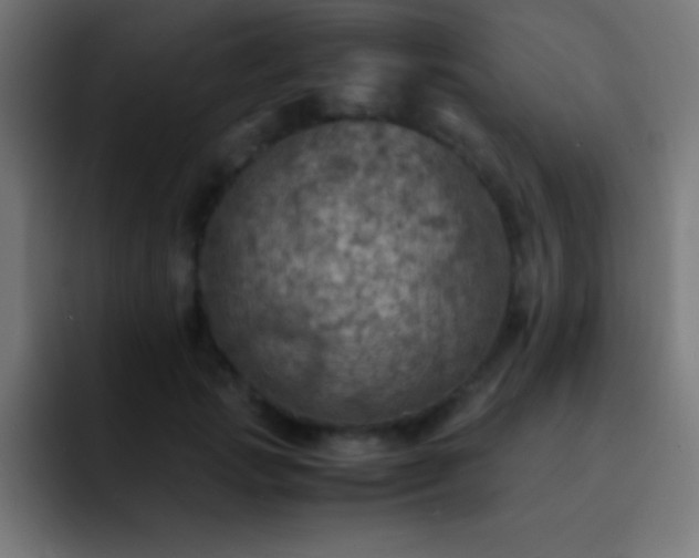 X0000093100749200710031829