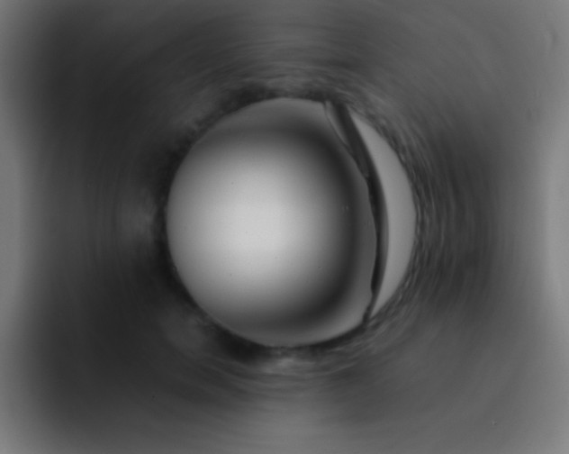 X0000093100750200710031829