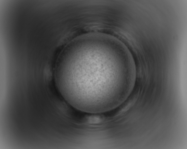 X0000093100751200710031829