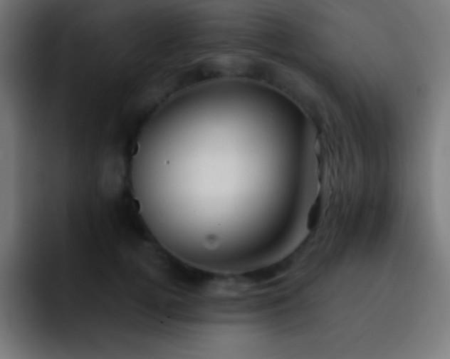 X0000093100752200710031829