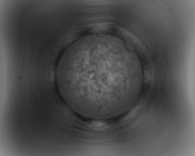 X0000093100753200710031829