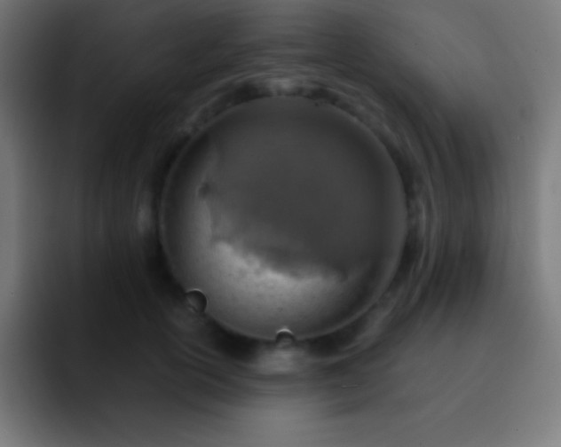X0000093100754200710031829
