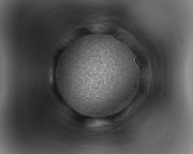X0000093100755200710031829
