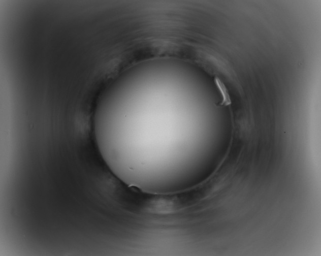 X0000093100756200710031829