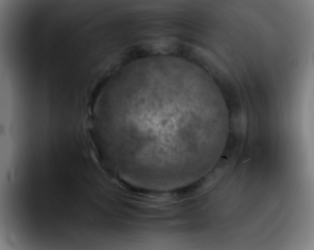 X0000093100757200710031829