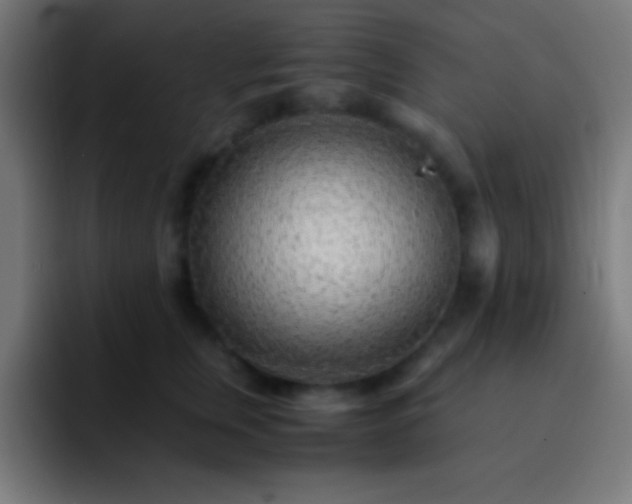 X0000093100759200710031829