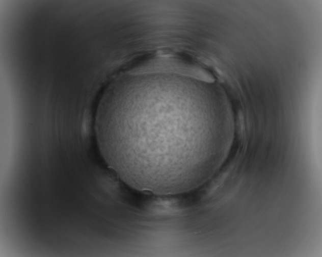 X0000093100760200710031830