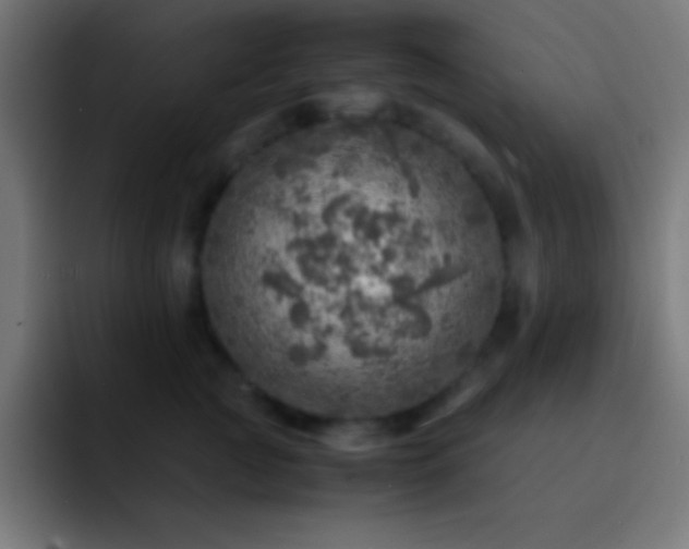 X0000093100761200710031830