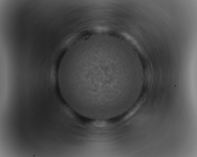 X0000093100762200710031830