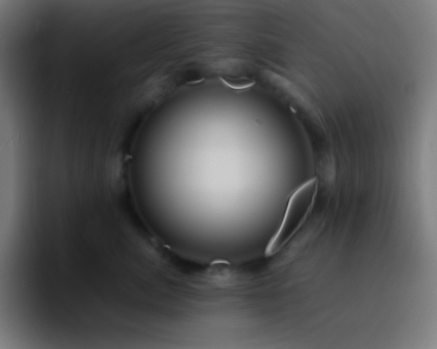 X0000093100764200710031830