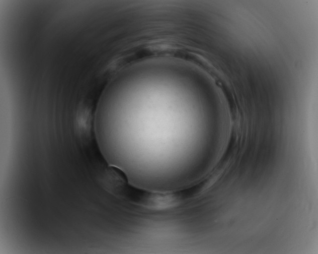 X0000093100767200710031830