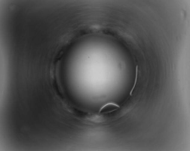 X0000093100768200710031830