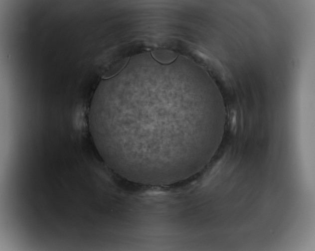 X0000093100770200710031829