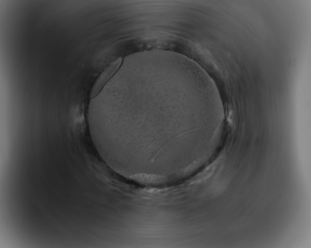 X0000093100771200710031829