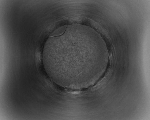 X0000093100772200710031829