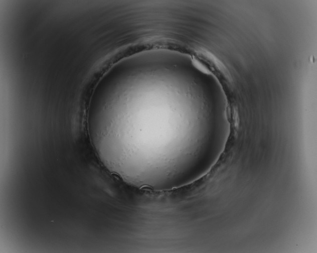 X0000093100775200710031829