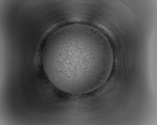 X0000093100776200710031829