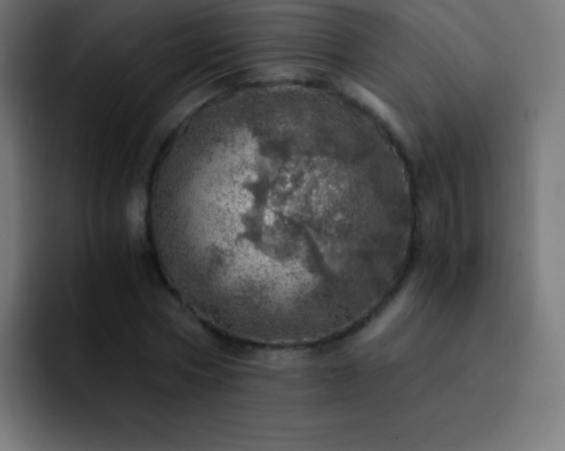 X0000093100778200710031829