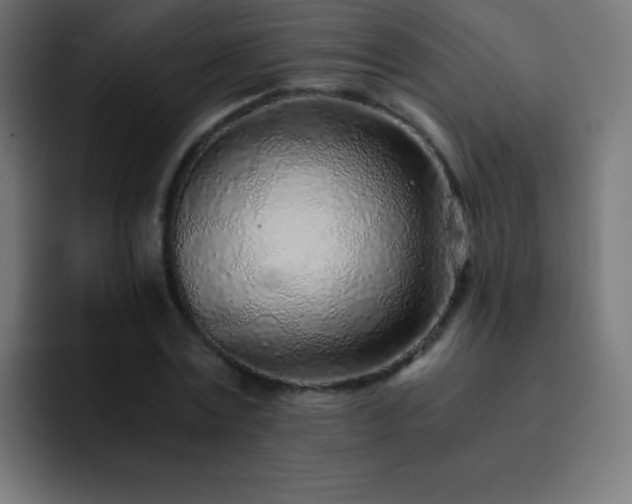X0000093100779200710031829