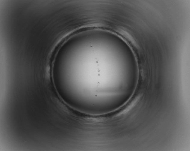 X0000093100781200710031829