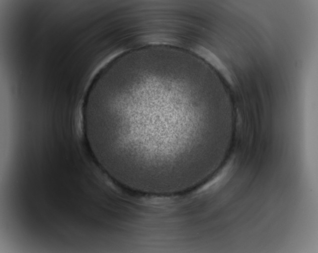 X0000093100782200710031829