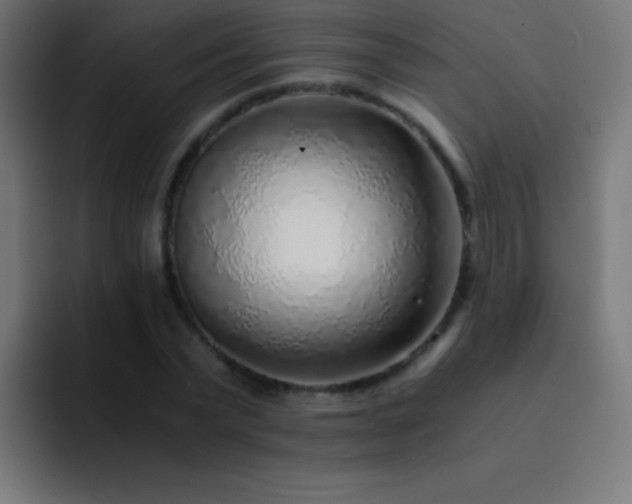 X0000093100783200710031829