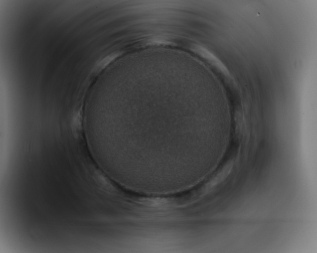 X0000093100785200710031829