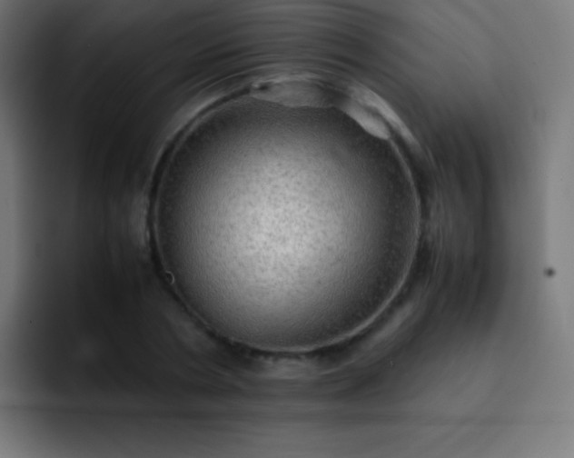 X0000093100786200710031829