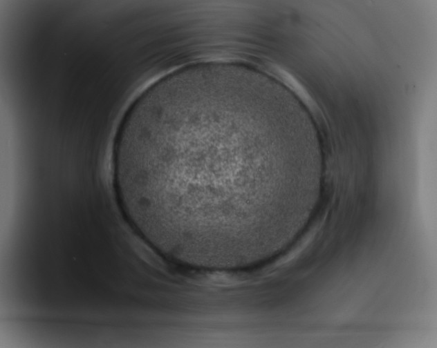X0000093100787200710031829