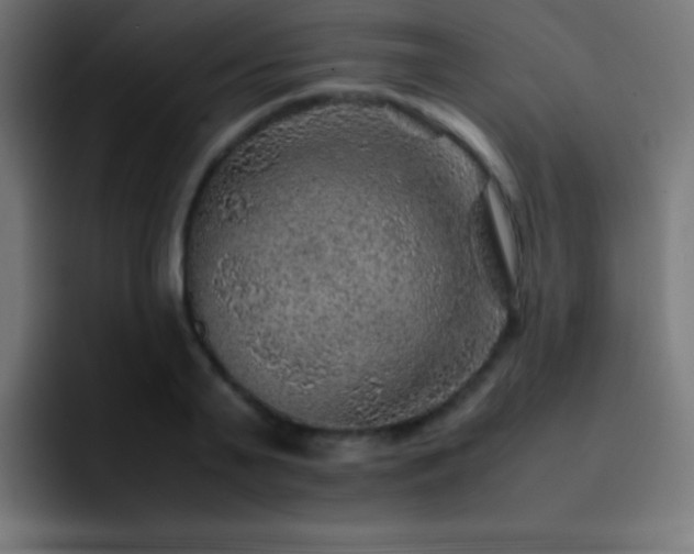 X0000093100791200710031829
