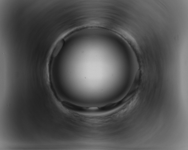 X0000093100792200710031829