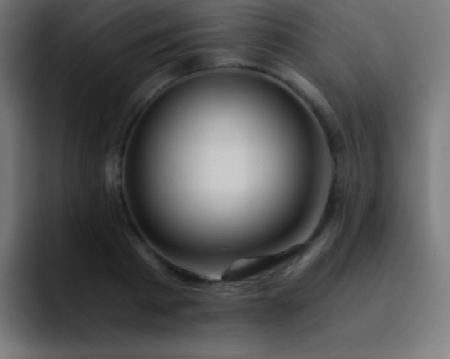 X0000093100793200710031829