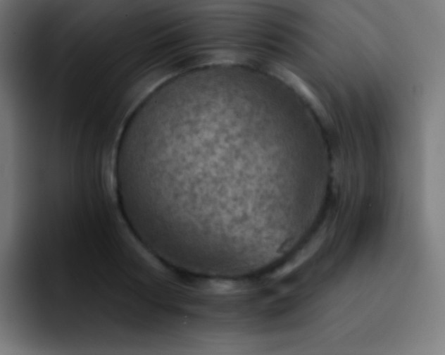 X0000093100794200710031829