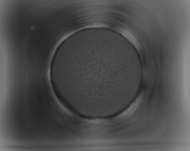 X0000093100797200710031829